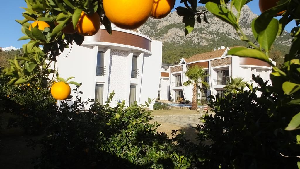Han-De Homes Kemer Buitenkant foto